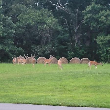 ホテル Deer Run Estate Llc Marshfield エクステリア 写真