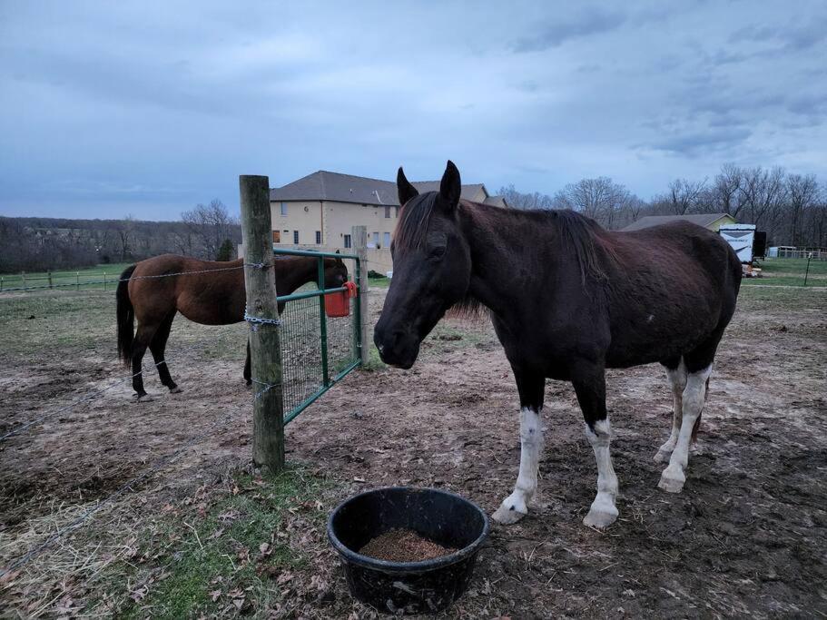 ホテル Deer Run Estate Llc Marshfield エクステリア 写真